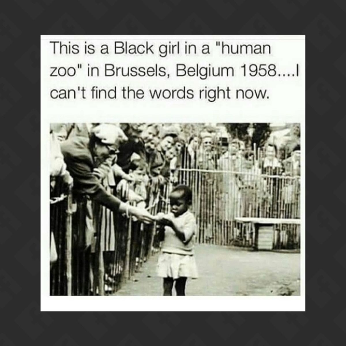 человеческий зоопарк в бельгии 1958
